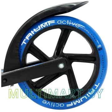 Самокат Triumf Active Al02-205 (синий) картинка 4